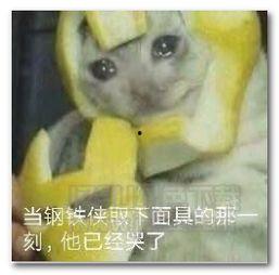 蒙面表情包面具,揭秘网络时代的表情符号艺术