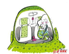 吃瓜娱乐交通规则